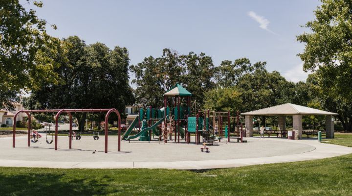 Emerald-green and purple playground near swings, spring-rockers, and a shaded picnic area 