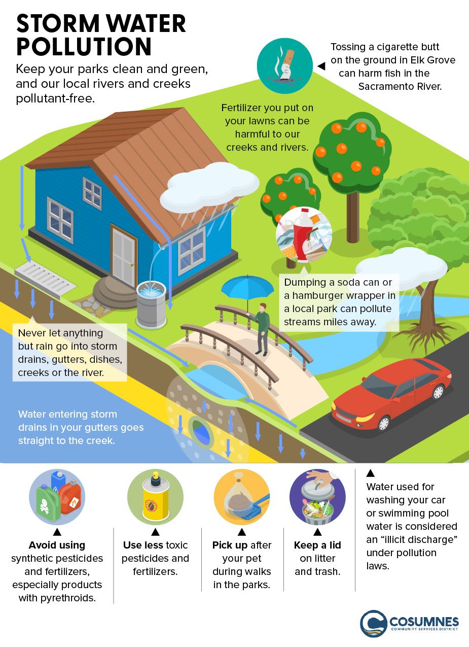 Storm Water Drain Infographic
